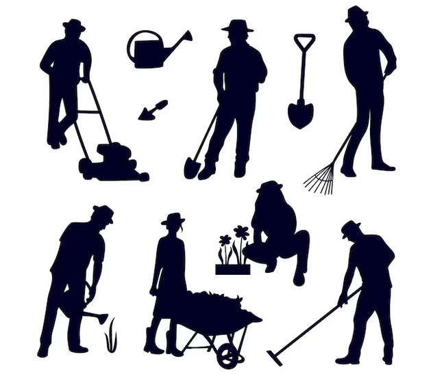 Various Gardening
              Services